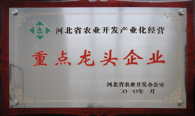 2010省農開辦龍頭企業(yè)