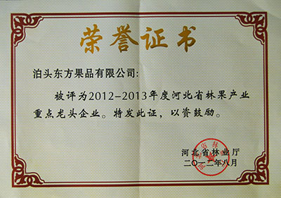 2012年省林業(yè)重點(diǎn)龍頭企業(yè)證書(shū)