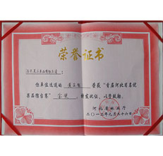 2012年黃金梨金獎